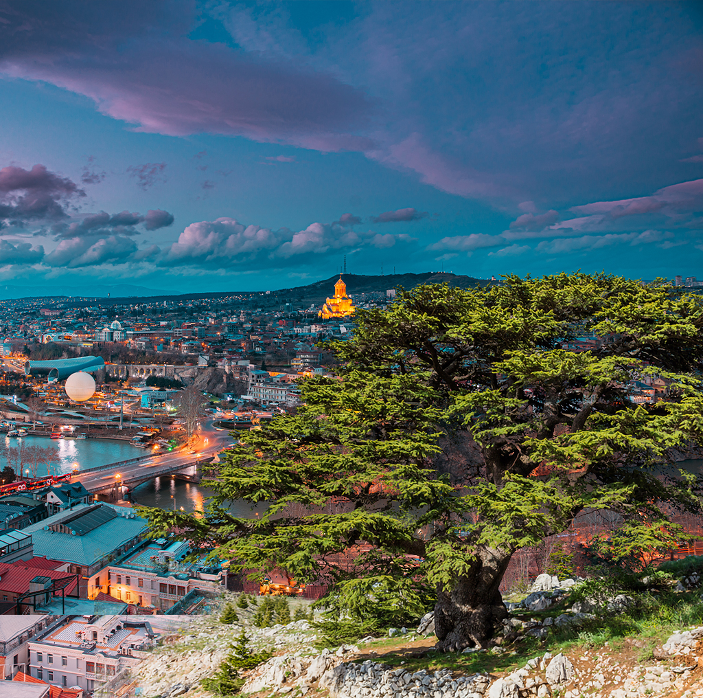 Al Saify Group - About Image